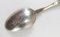 20th Century Sterling Silver Floral Pattern Spoon of Daylily by R. Blackinton 6