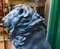 Estatuas de bronce del guardián de los leones Medici. Juego de 2, Imagen 6