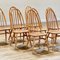 Elm Dining Chairs from Ercol, Set of 8 4