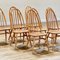 Elm Dining Chairs from Ercol, Set of 8, Image 4