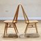 Elm Dining Chairs from Ercol, Set of 8 9