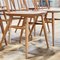 Elm Dining Chairs from Ercol, Set of 8 8