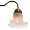 French Frosted Glass & Brass Flower Wall Lamp 2