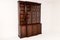 19th Century English Regency Mahogany Bookcase attributed to Gillows, Image 7