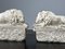 Canova Lions in Marble 11