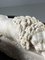 Canova Lions in Marble 3