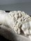 Canova Lions in Marble, Image 3