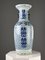 Chinese Vase in Porcelain 13