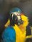 Luisa Albert, Il pappagallo dell'ara intruso, Dipinto a olio, 2018, Immagine 5
