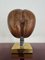 Doppelte Kokosnuss Skulptur auf Messingständer, Frankreich, 1970er 3