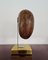 Double Coconut Sculpture on Brass Stand, France, 1970s, Image 5