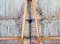 Sillas de comedor escandinavas de madera de haya con asientos de mimbre y mesa extensible grande en estilo de Arno Lambrecht, Alemania, años 50. Juego de 7, Imagen 12