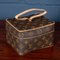21st Century Sharon Stone Trunk from Louis Vuitton, France, 2000s, Image 29