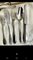 Silver-Plated Cutlery Set from Ercuis, 1940s, Set of 127 5