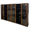 Mid-Century Artona Bookcase with Glass Doors attributed to Afra and Tobia Scarpa, Maxalto, 1960s 2