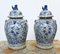 Pots de Temple en Porcelaine Bleue et Blanche, Set de 2 1