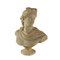 Apollo of Belvedere Bust, Marble, Image 1