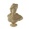 Buste Apollon du Belvédère, Marbre 1