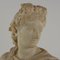 Apollo of Belvedere Bust, Marble 3