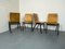 Modernistische Mid-Century Esszimmerstühle aus Schichtholz von Roland Rainer, 1950er, 4er Set 5