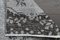 Graubrauner türkischer Oushak Teppich, 1960er 5