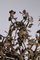 Artista italiano, Escultura de árbol modernista, años 20, metal dorado, Imagen 6