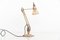 Anglepoise Lampe von Herbert Terry & Sons, 1940er 5