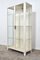 Medical Cabinet in Iron and Glass, 1960s 3