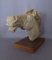 Emilia Parea, Horse Head Sculpture, 1960s, Granite and Papier-Mâché on Wood Base 18