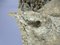 Emilia Parea, Escultura de cabeza de caballo, años 60, Granito y papel maché sobre base de madera, Imagen 5