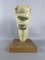 Emilia Parea, Escultura de cabeza de caballo, años 60, Granito y papel maché sobre base de madera, Imagen 13