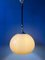 Lámpara colgante en forma de hongo Mid-Century de vidrio acrílico de Dijkstra, Imagen 3