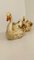 Macetas esmaltadas con forma de cisne de jardín, Imagen 24