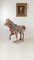Tang Dynasty Horse 17