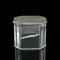Antique English Edwardian Silver Plated Tea Caddy, 1910s 6