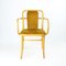 Czechoslovakian Type 830 Armchair with Gold Velvet by Josef Hoffmann for Ton, 1960s 1