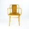 Czechoslovakian Type 830 Armchair with Gold Velvet by Josef Hoffmann for Ton, 1960s, Image 1