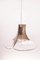 Murano Glass Hanging Lamp by Carlo Nason for Kalmar, Image 8