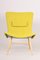 Mid-Century Yellow and Blue Armchairs attributed to Miroslav Navratil, 1950s, Set of 2 9