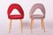 Mid-Century Dining Chairs in Beech, 1950s, Set of 4, Image 4