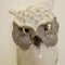 Large Owl Lamp by Ferdinand Doblinger, 1911 9