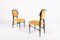 Italienische Mid-Century Modern Stühle von Vittorio Dassi, 1960er, 6er Set 5