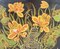 Scatola antica in legno con illustrazioni di fiori di loto, inizio XX secolo, Immagine 7