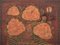 Baule antico da opera con illustrazioni di peonia, Cina, inizio XX secolo, Immagine 9