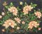 Antike chinesische Truhe mit floralen Illustrationen, 1900er 4