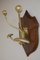 Victorian Brass and Oak Coat Hooks, 1880s 5