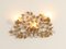 Spanish Floral Wall Lamp in Gilt Metal, 1960s 10