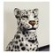 Snowleopard Ceramic Figurine by Ceramiche Boxer, Image 5