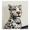 Statuetta Snowleopard in ceramica di Ceramiche Boxer, Immagine 5