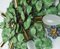 Italienische Florentinische Vintage Wandlampe im Hollywood Regency Stil mit Efeublättern und Blüten aus Metall 10
